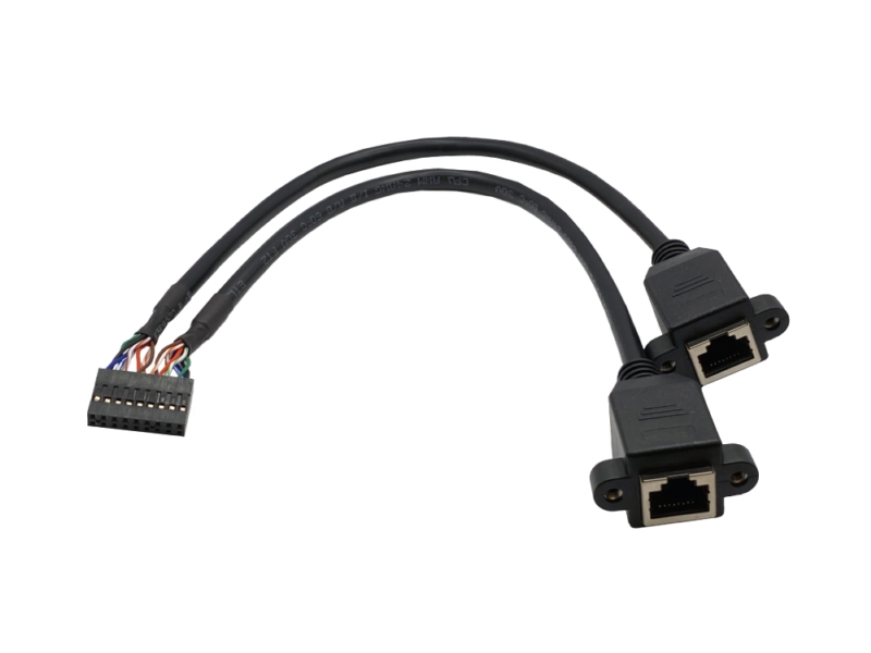 PHD2.0 2×9ピン – 2x RJ45 8P8C ケーブル