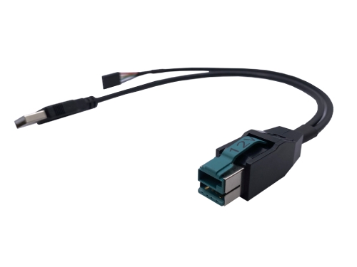 Powered USB 12V ケーブル – USB A オス + DP2.54 4 ピン